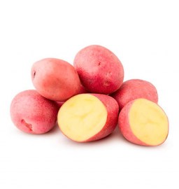 No hay imagen establecida 